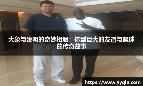 大象与姚明的奇妙相遇：体型巨大的友谊与篮球的传奇故事